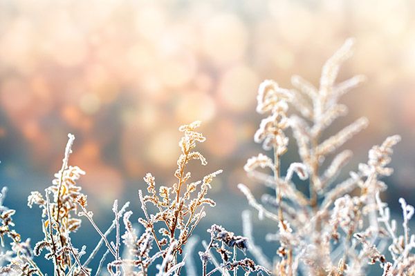 冬天皮肤痒是什么原因 冬天皮肤痒是怎么回事