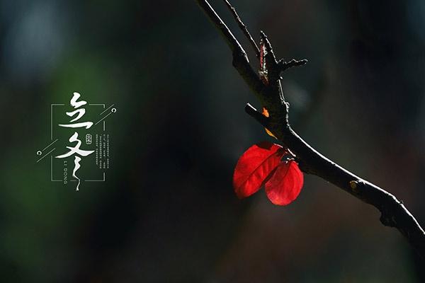 什么时候立冬 立冬有哪些习俗