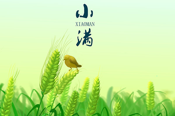 小满是几月几号 小满的习俗