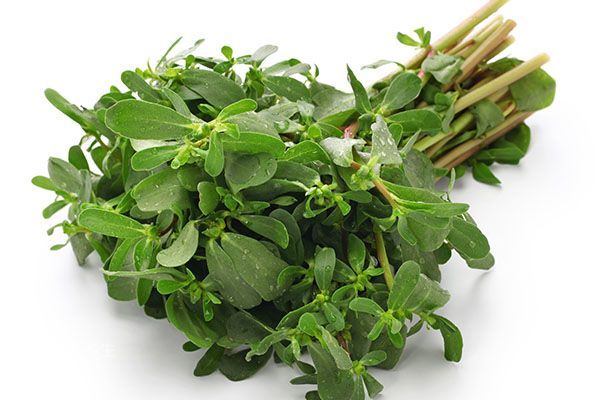 怀孕吃什么会流产 吃什么会造成孕妇流产