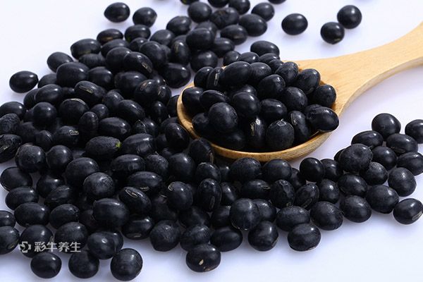 女性补肾吃什么最有效 女性补肾的食物有哪些