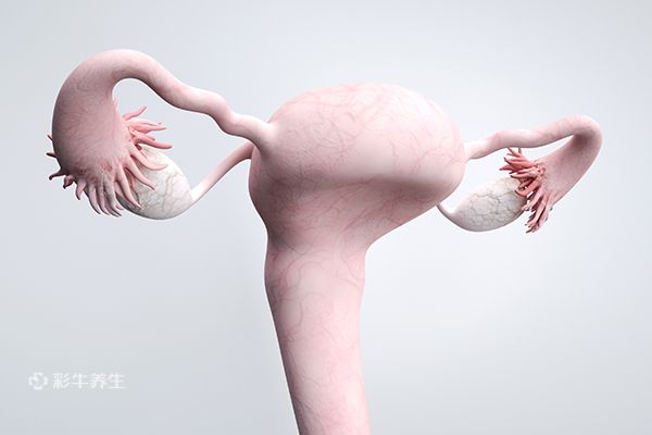 宫颈有问题的前兆 宫颈出问题会有4个症状