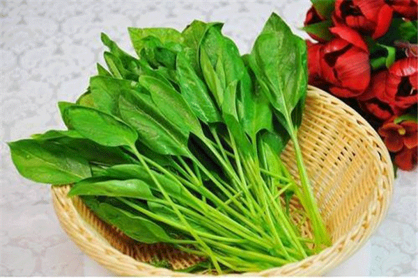 秋季养生吃什么蔬菜