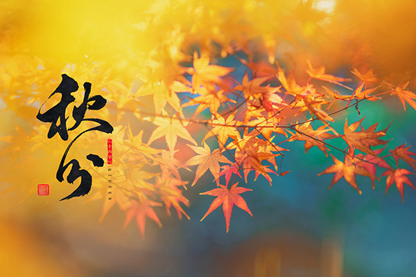 秋分是什么意思 秋分如何养生