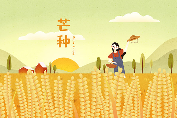 芒种是几月几日 芒种的习俗