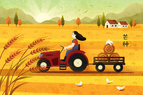 芒种是几月几日 芒种的习俗