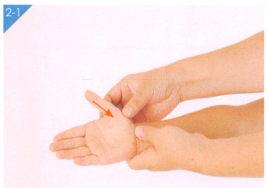 舌舔皮炎按摩部位图解