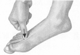 前列腺疾病按摩部位图解