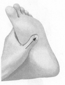 遗精按摩部位图解