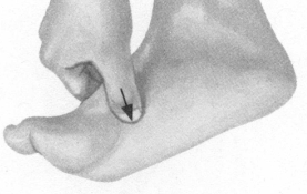 胃肠炎按摩部位图解