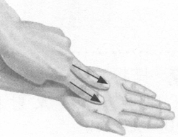 前列腺疾病按摩部位图解