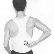 遗精按摩部位图解