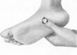 性冷淡按摩部位图解