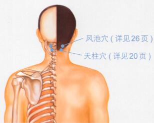 牙痛按摩部位图解