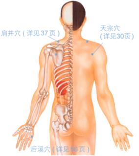落枕按摩部位图解