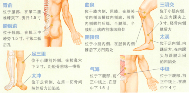 前列腺炎艾灸哪个部位图解