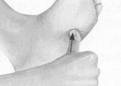 更年期综合征按摩部位图解