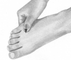 高血压按摩部位图解