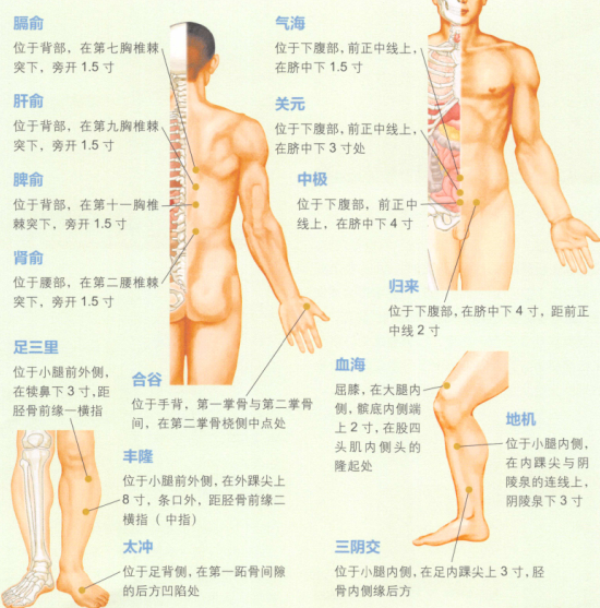 闭经艾灸哪个部位图解