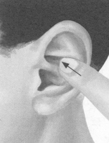 痛经按摩部位图解