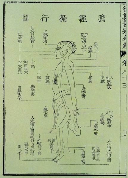 《医宗金鉴》十二脉图