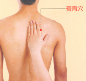 哮喘艾灸哪个部位图解