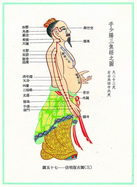 《新针灸学》经穴图