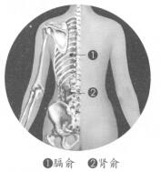腰背痛按摩部位图解