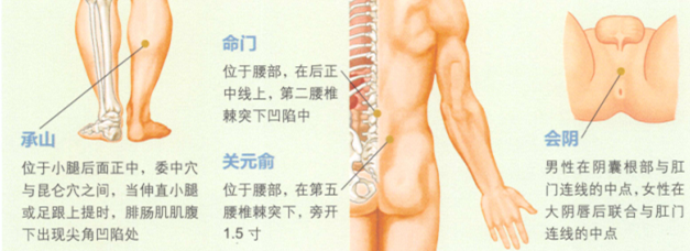 痔疮艾灸哪个部位图解