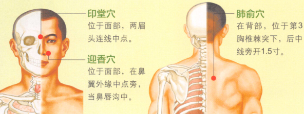 鼻炎艾灸哪个部位图解