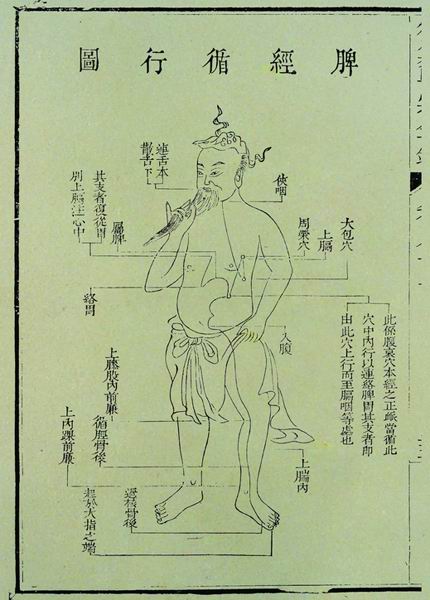 《医宗金鉴》十二脉图