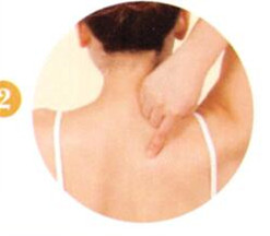 阳虚体质艾灸哪个部位图解