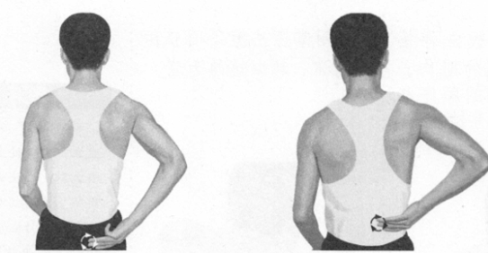 腰痛按摩部位图解