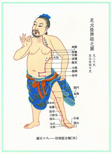 《新针灸学》经穴图