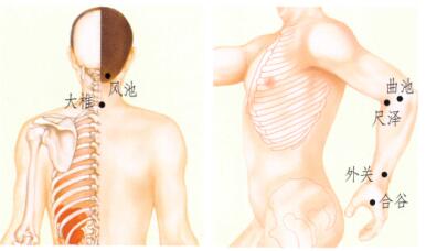 感冒刮痧部位图解