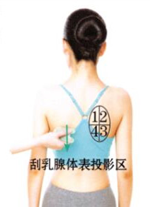 乳房保健刮痧部位图解