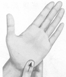 肥胖症按摩部位图解