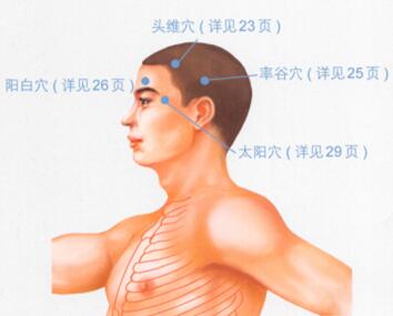头痛按摩部位图解