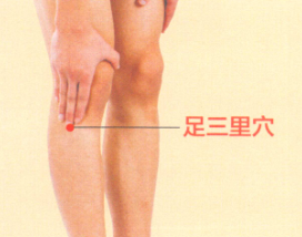 胃下垂艾灸哪个部位图解