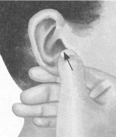 近视按摩部位图解