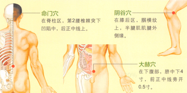早泄艾灸哪个部位图解