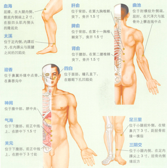黄褐斑艾灸哪个部位图解