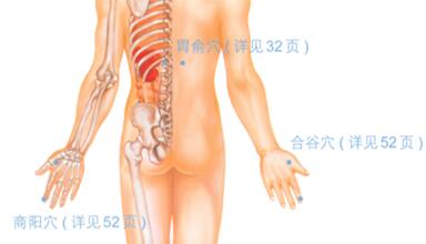 恶心-呕吐按摩部位图解