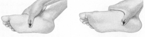 腹泻按摩部位图解