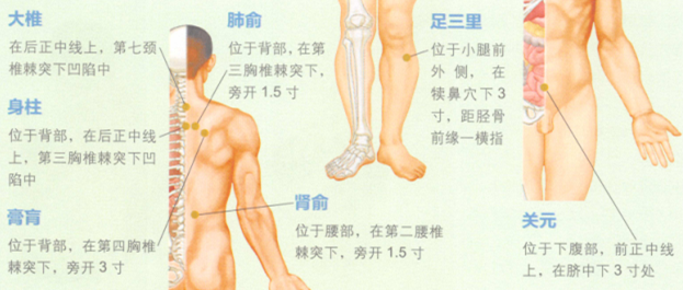 肺结核艾灸哪个部位图解