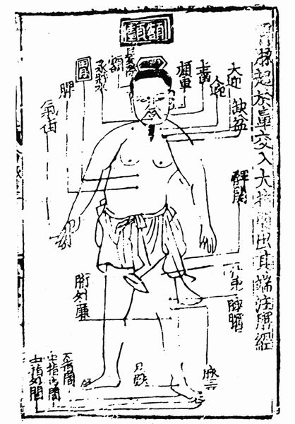 《子午流注针经》十二脉图