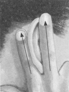 美容美体按摩部位图解