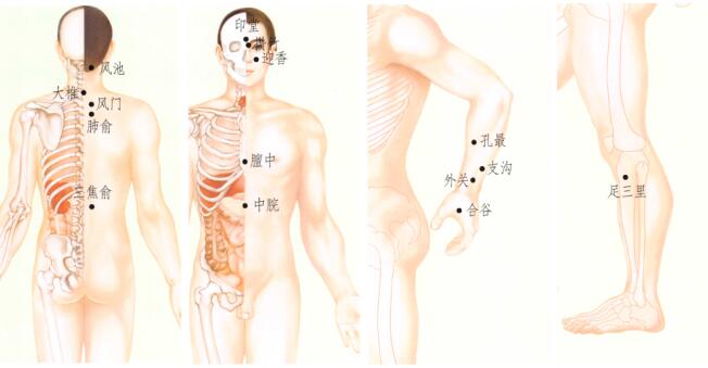 感冒刮痧部位图解