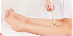 呕吐艾灸哪个部位图解