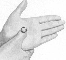 腰椎间盘突出症按摩部位图解